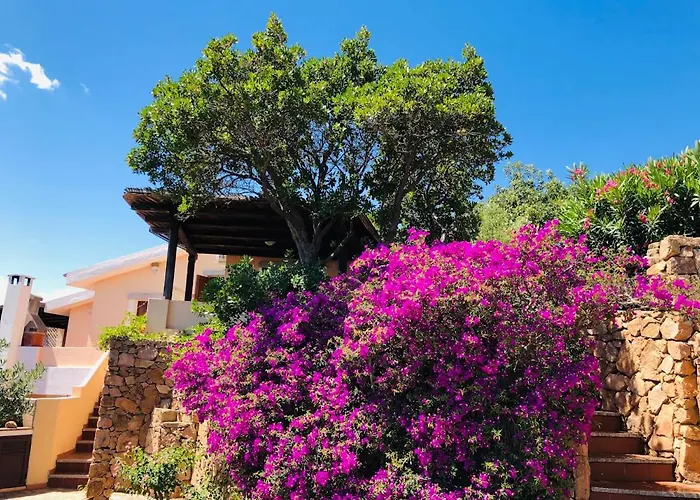 Bilocale Degli Oleandri Vista Mare